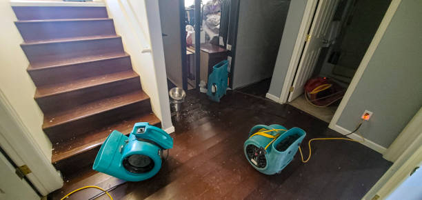 Best Residential water damage restoration  in Curtice, OH