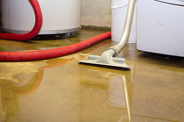 Best 24-hour water damage restoration  in Curtice, OH