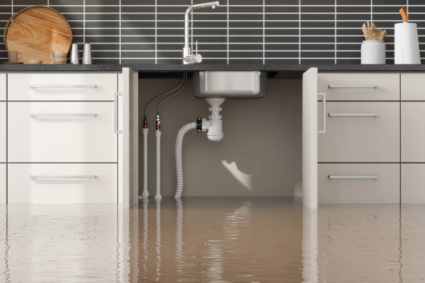 Best Fire Damage Restoration  in Curtice, OH